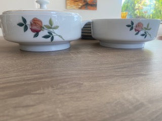 Vintage 1960s Bavarian Scherzer 21-Piece Dinner Service